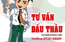 Chúng tôi là chi nhánh khi tham gia đấu thầu bị loại có đúng không?